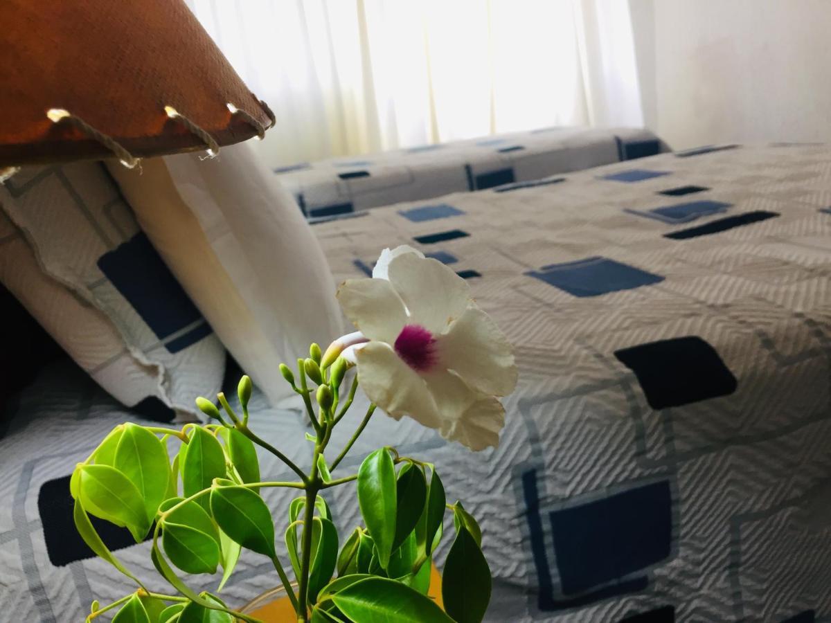 Piriápolis San Remo Terrazas Hotel מראה חיצוני תמונה